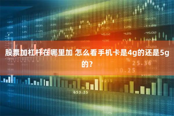 股票加杠杆在哪里加 怎么看手机卡是4g的还是5g的？